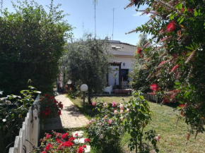  Geko's House  Сиракуза